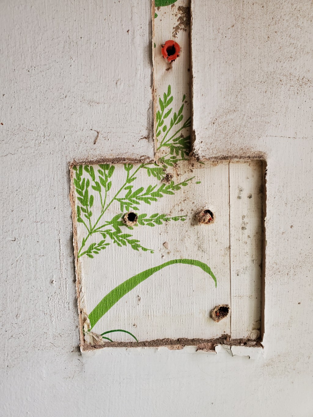 More Than Just a Wallflower